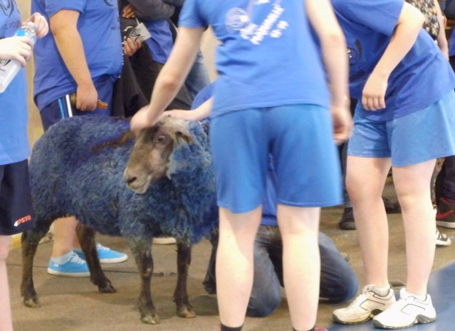 inter-enil-2014 (51)